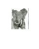jj.elephant.practiceplate.closeup.JPG