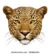 portrait-leopard-handdrawn-illustration-digitally-260nw-383866546.jpg